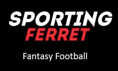 sportingferret Logo - FPL