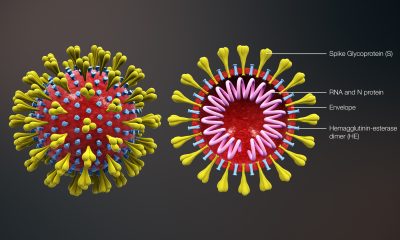 Coronavirus