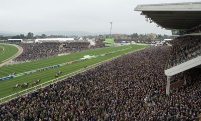 cheltenham festival