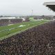 cheltenham festival