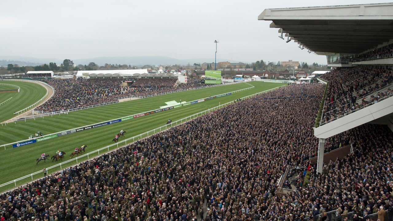 cheltenham festival