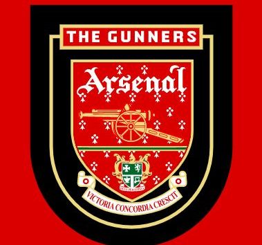 Arsenal Badge 1995