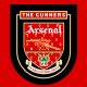 Arsenal Badge 1995