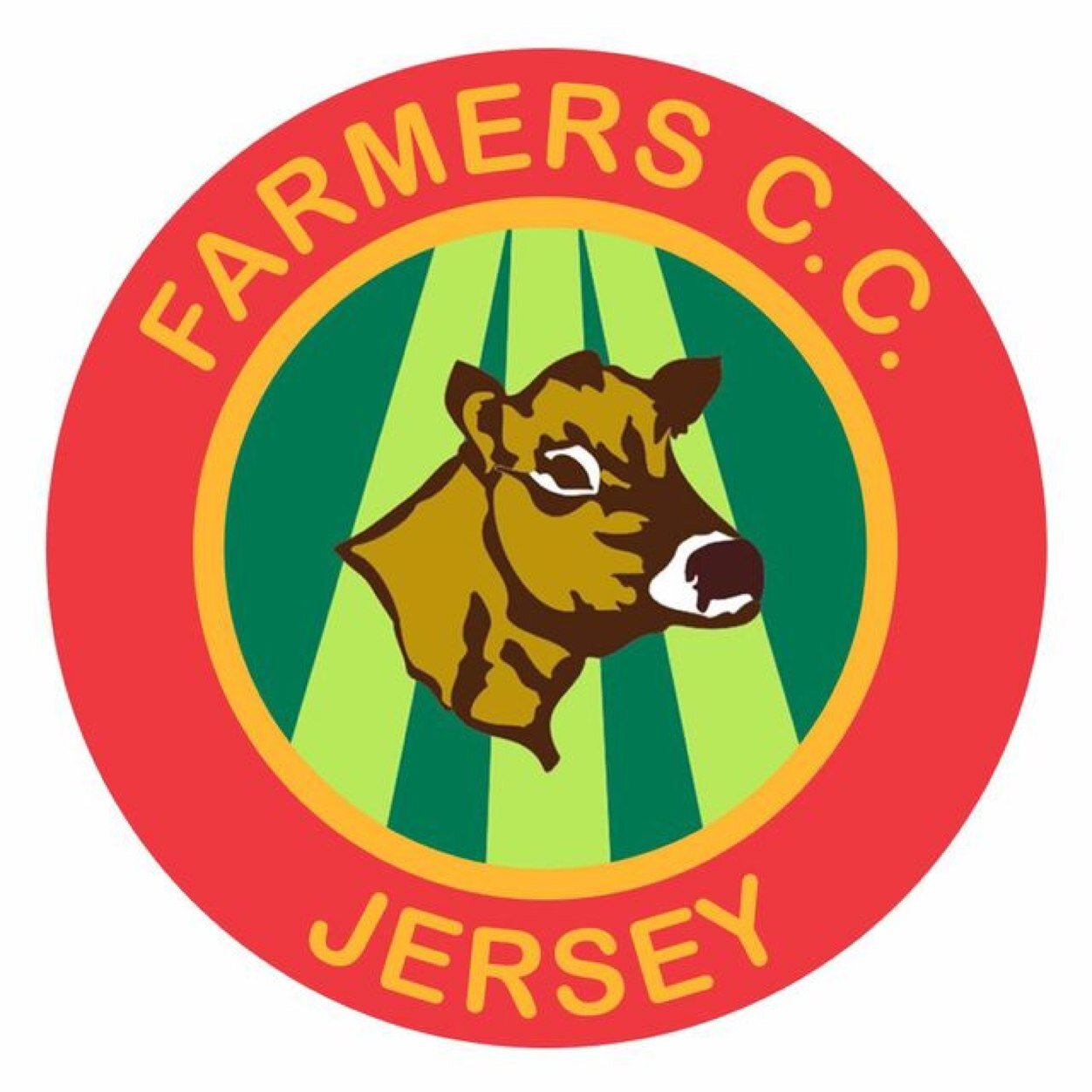 Jersey Cricket