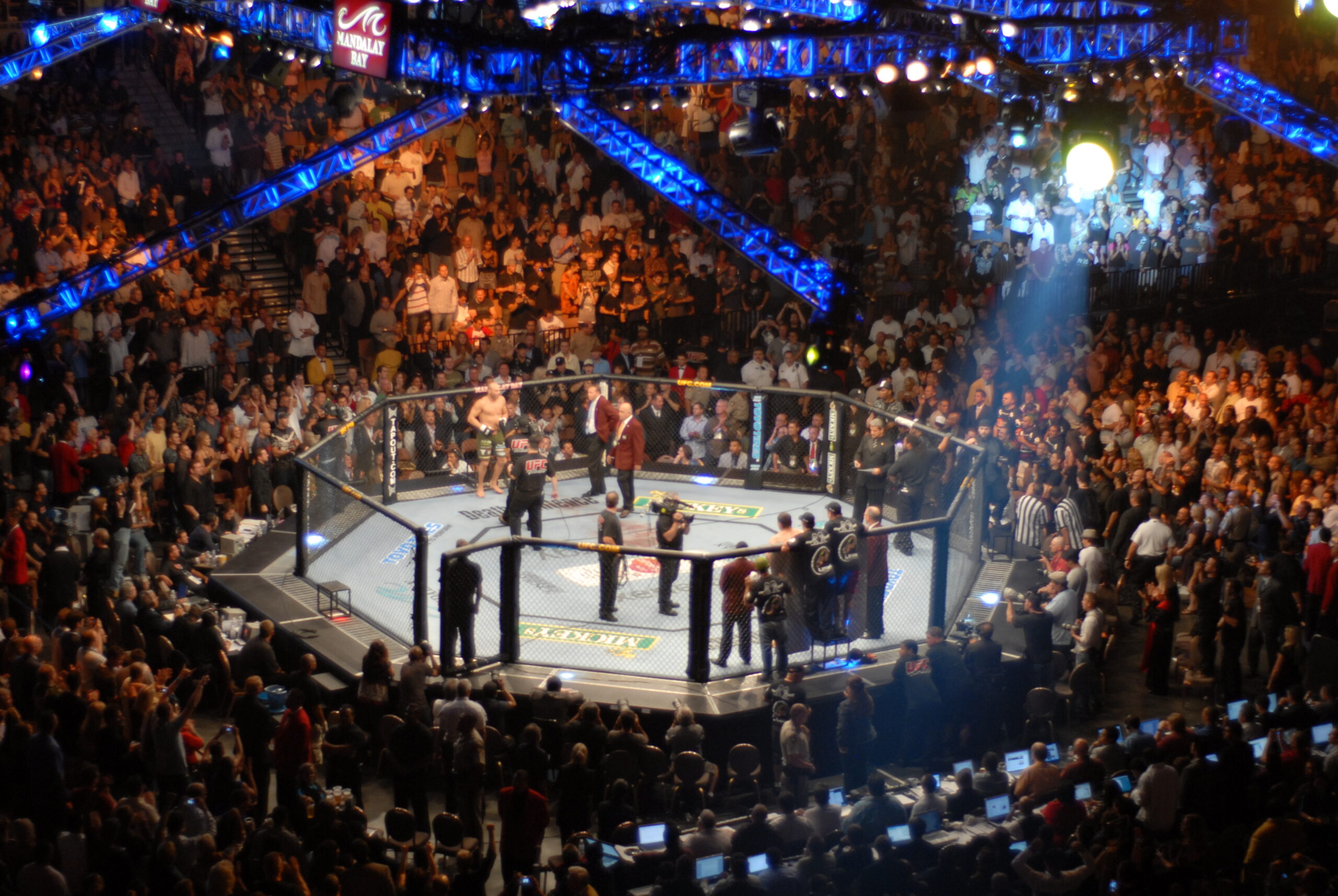 an example of the UFC octagon that Israel Adesanya fights in.