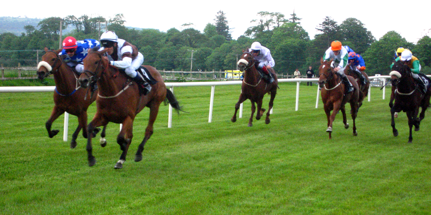 what racing at Kempton Park looks like
