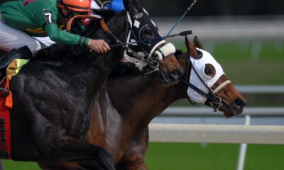 Horse Racing