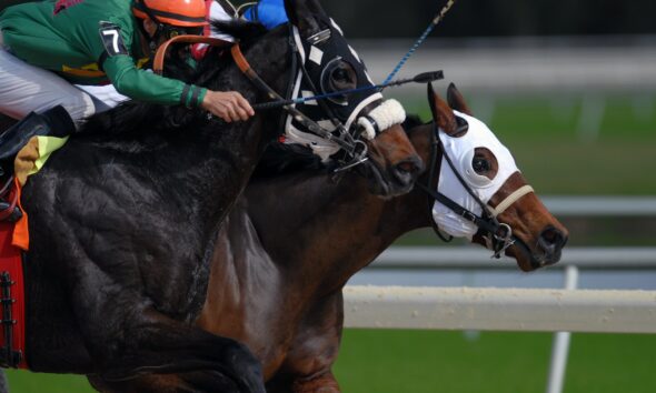 Horse Racing
