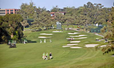 Torrey Pines