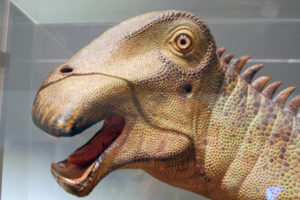 Nigersaurus model