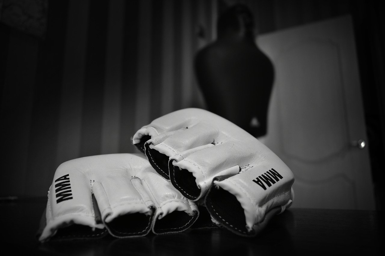 MMA Gloves