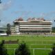 Image of Newbury Racecourse