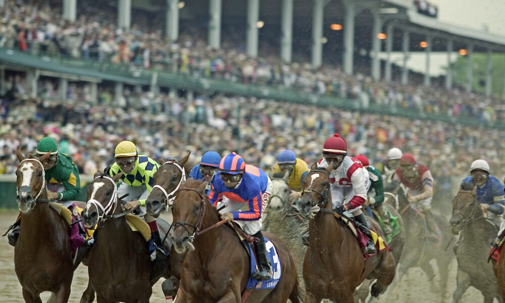 Assessing The Early Favourites For The Kentucky Derby Sporting Ferret