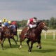 Horse racing